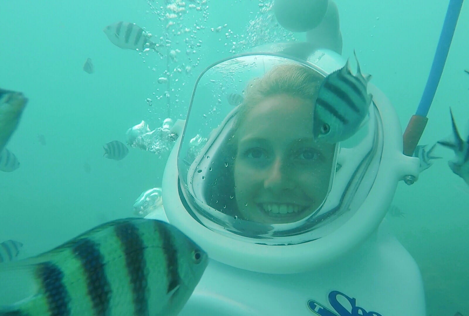 Cham Islands Hoi An itinerary 