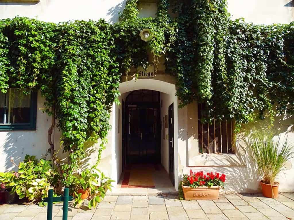 Overgrown doorway Vienna