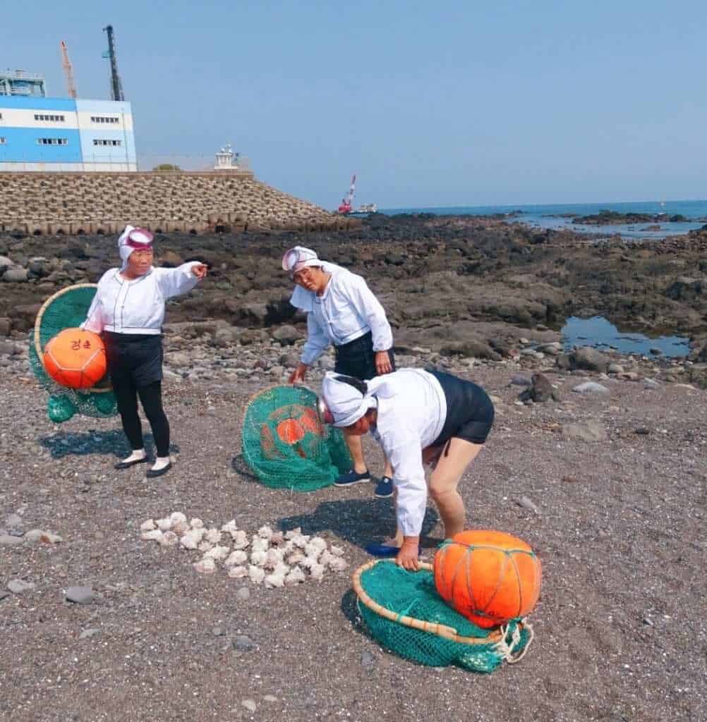Haenyeo women divers Jeju island South Korea