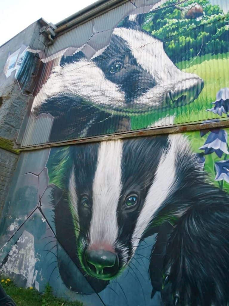 Badger street art Glasgow 