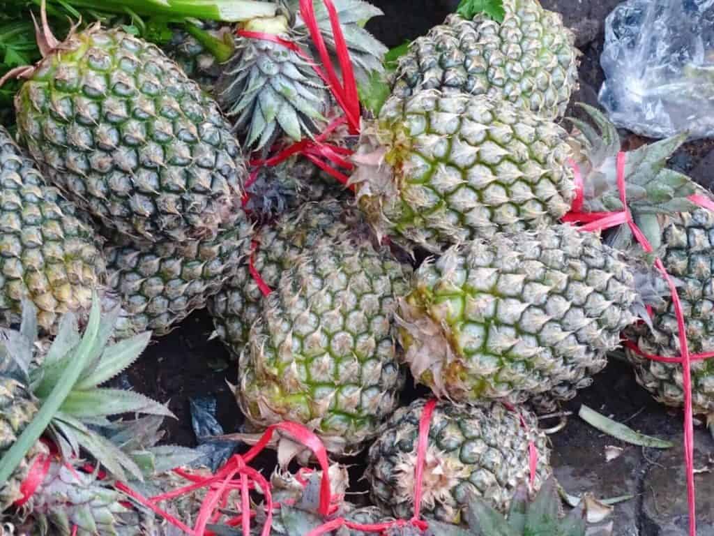 Pineapples at Market