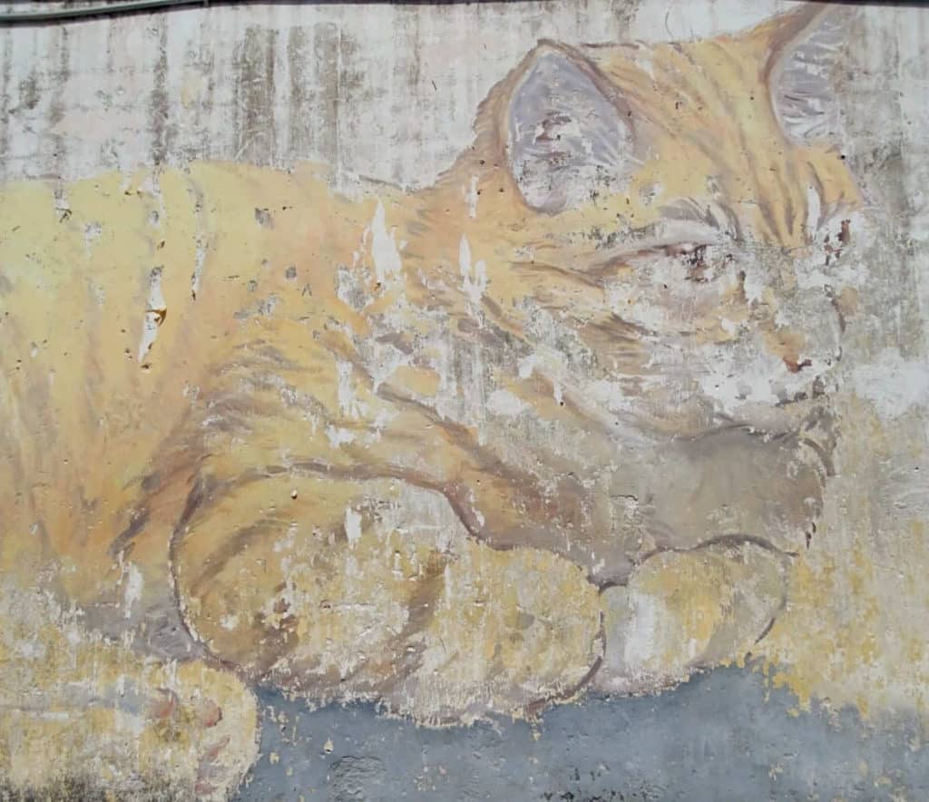 cat mural