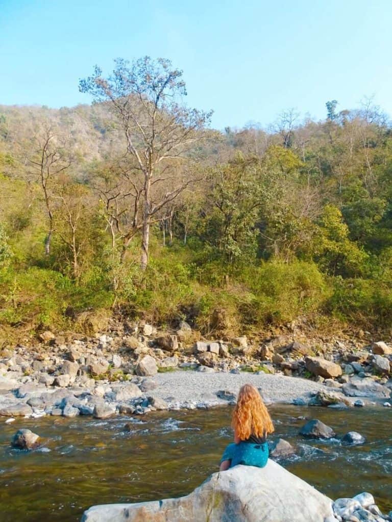 River and forest Rishikesh guide India