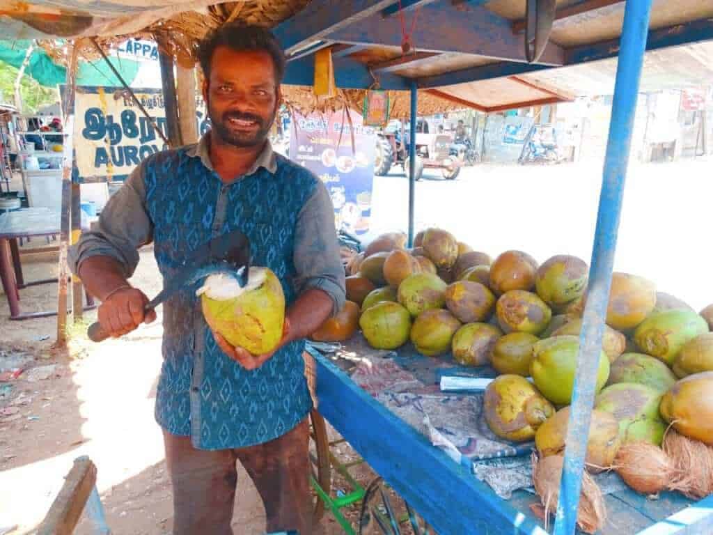 Roadside coconut vendor Pondicherry to Auroville