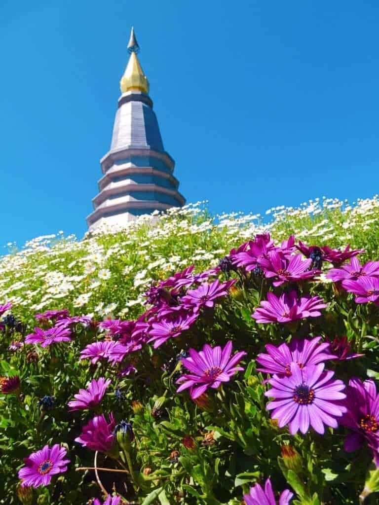 Doi inthanon National Park things to do Chiang Mai