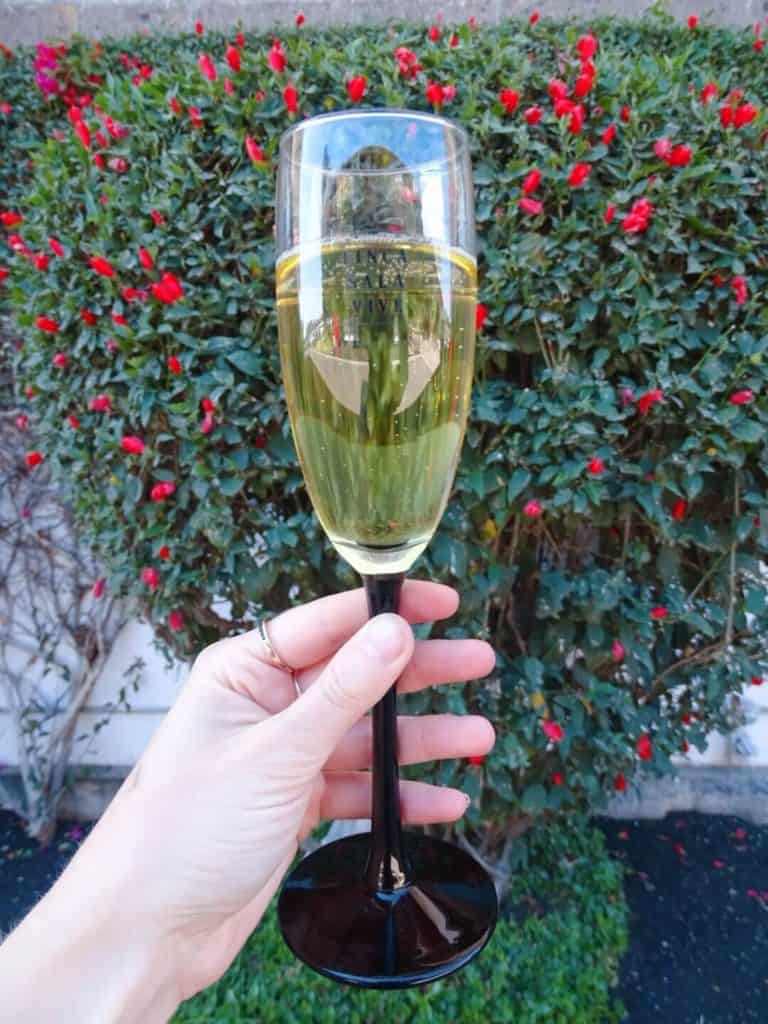 Sparkling wine how to visit Queretaro wineries