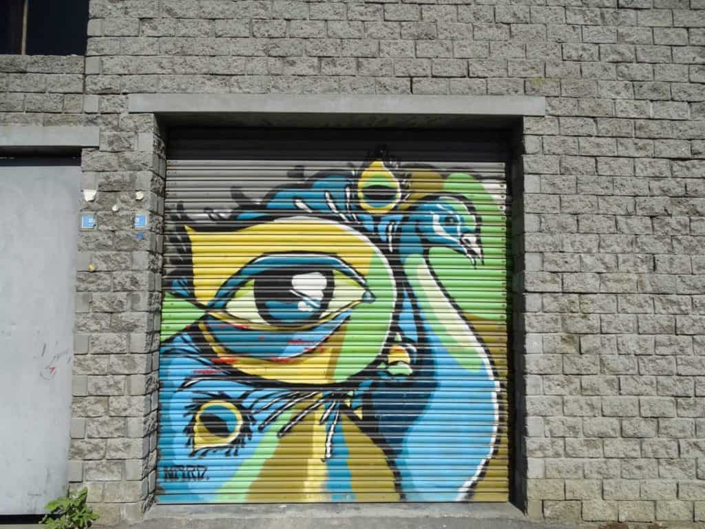 Peacock street art Woodstock Cape Town