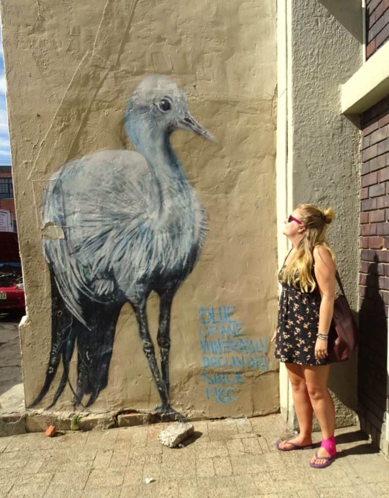 Crane street art Woodstock Cape Town