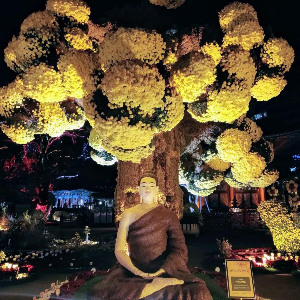Jogyesa Temple Seoul