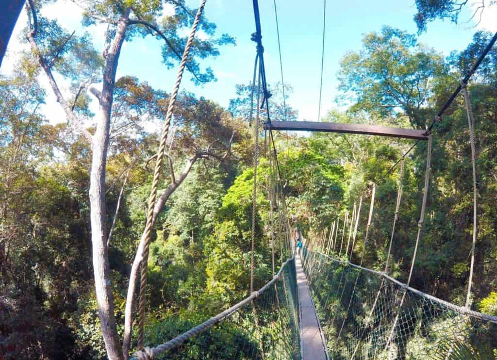 taman negara national park