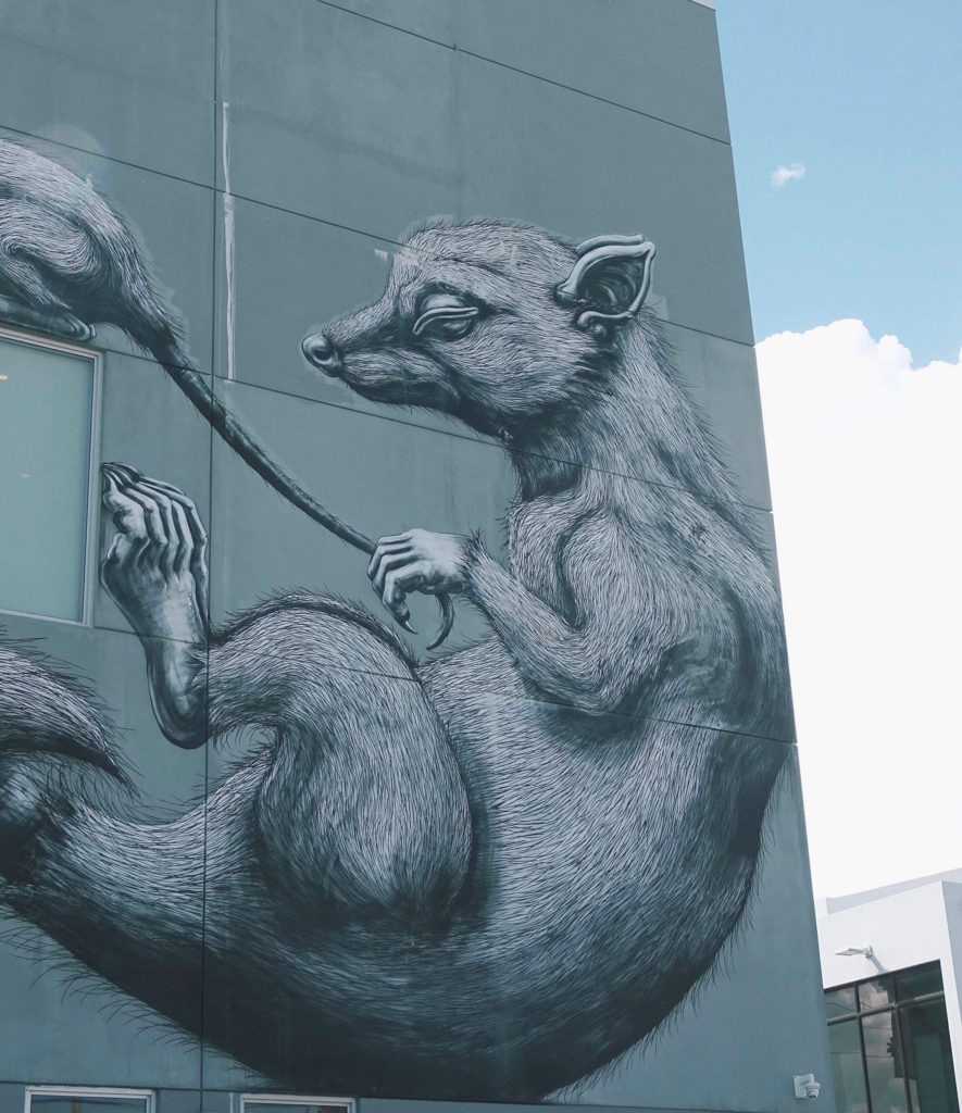 Fox street art Wynwood 2 day Miami itinerary