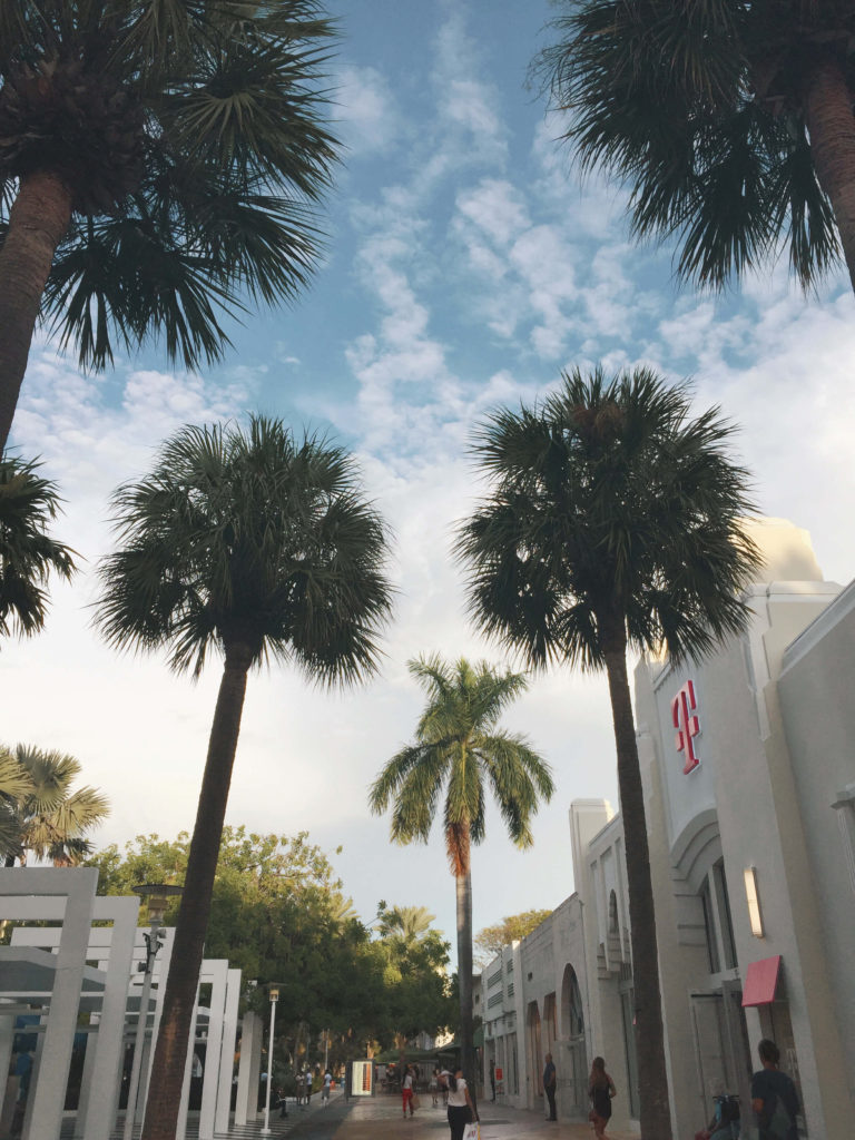 Palm trees and shops 2 days in Miami Beach