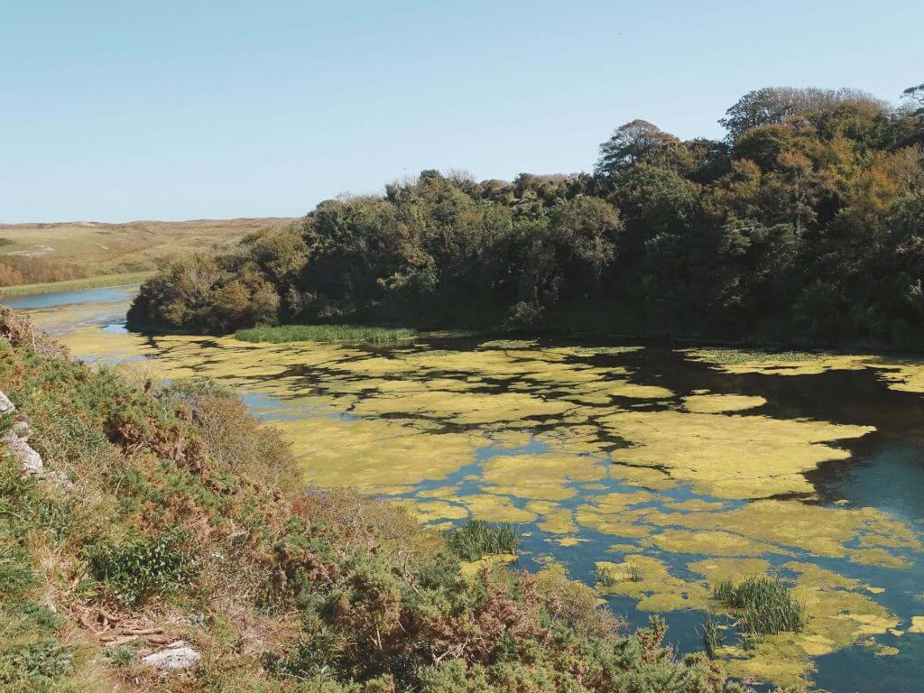 Bosherston Lily ponds Wales bucket list