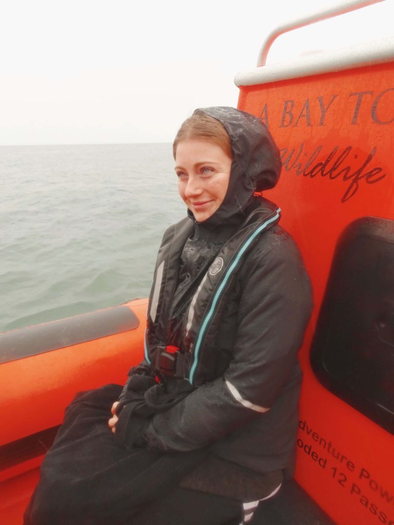 Boat trip Cardigan bay Wales bucket list