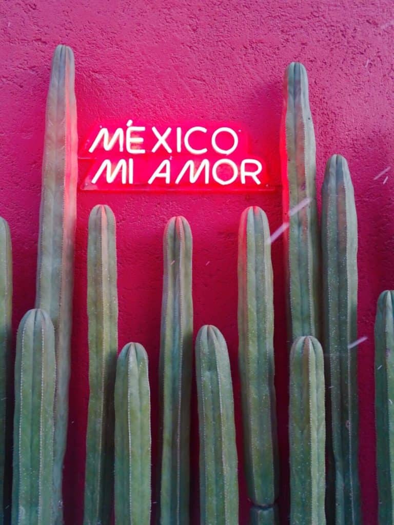 Mexico Mi Amor sign