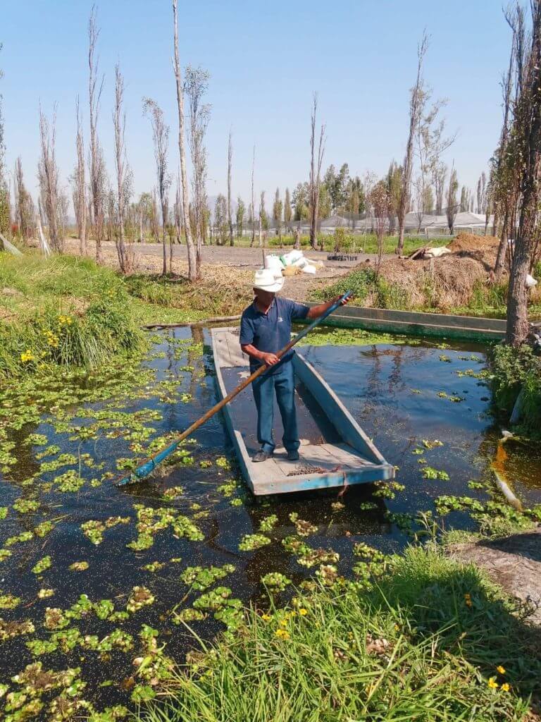 Xochimilco boat ride