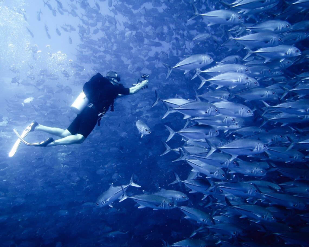 Balicasag beautiful Islands philippines