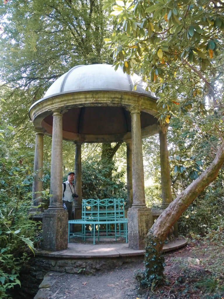 forest pagoda portmeirion