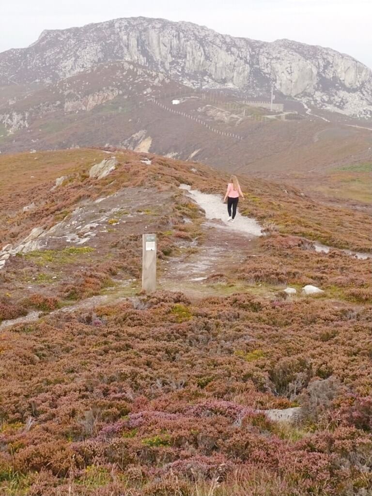 things to do holy island wales