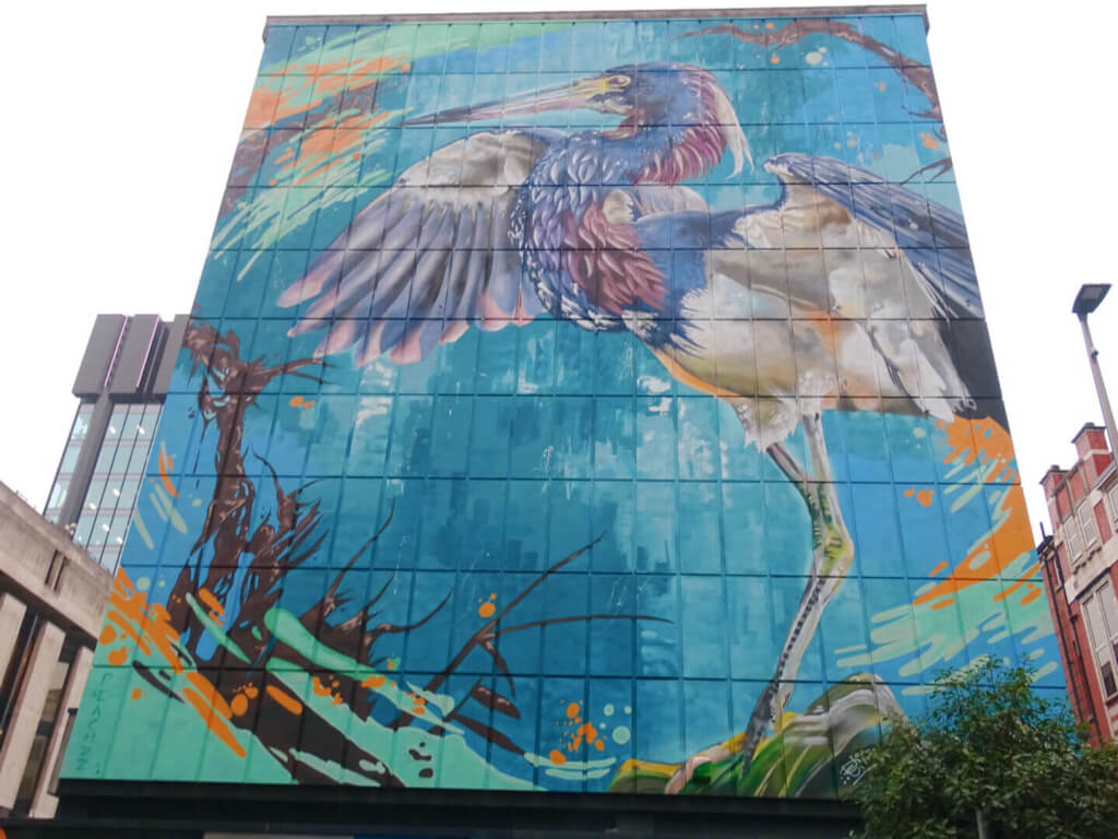 Faulkner House bird by Peachzz