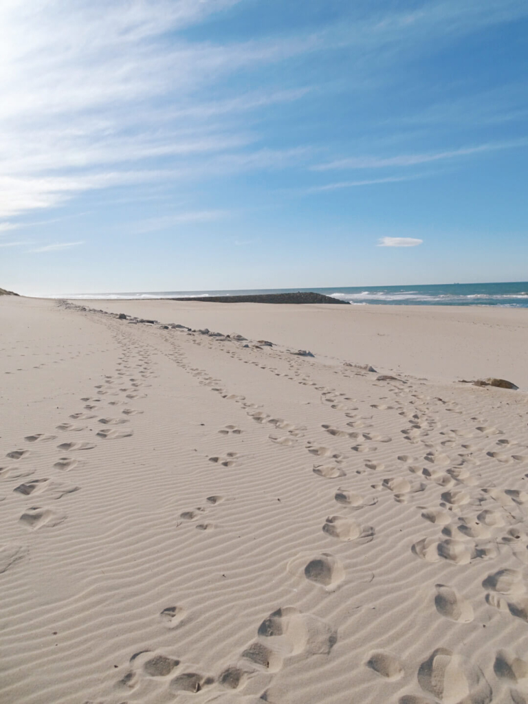 Praia da Costa Nova aveiro day trip from porto