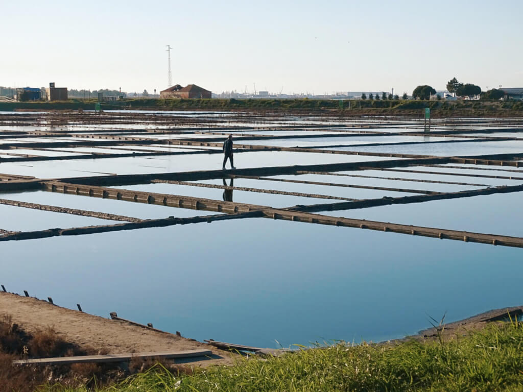 Salinas de Aveiro salt flats