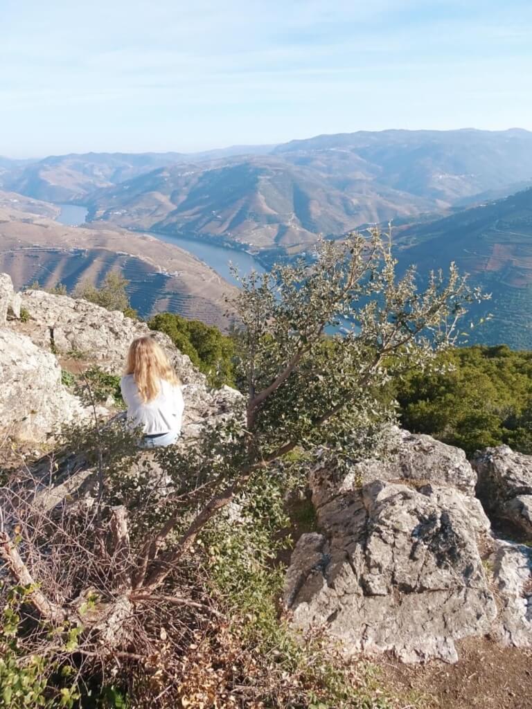 Scenic view douro valley porto day trip