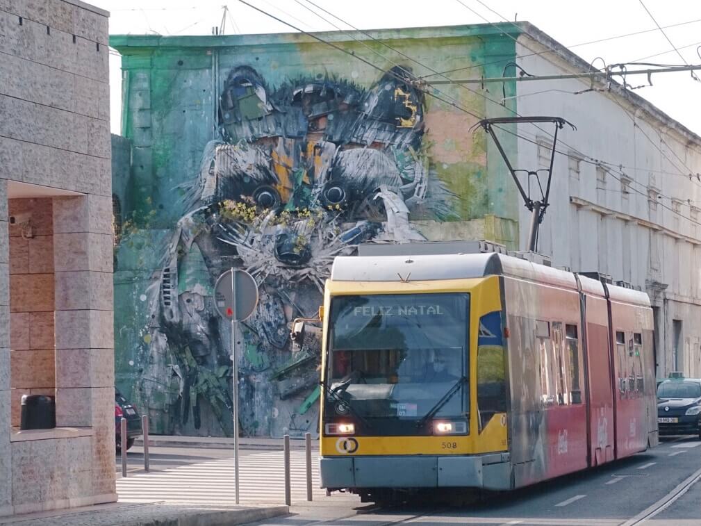 Racoon mural Bordallo ii