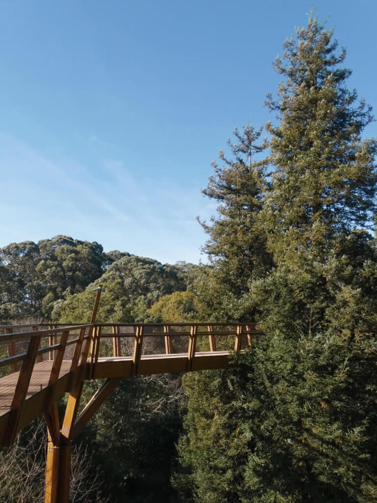 Serralves-Gardens-porto