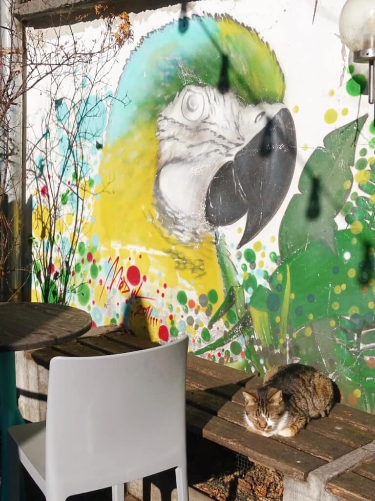 In the yard zagreb coffee shop