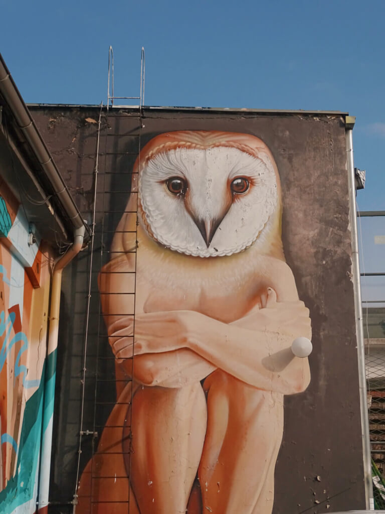 Lonac owl mural zagreb