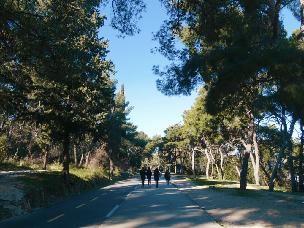  Spinutska Vrata marjan forest park