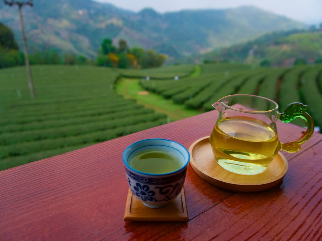 Doi Mae Salong Mountain