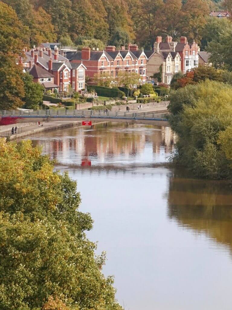 Views from Laura's Tower 