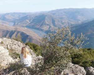 Douro valley day trip