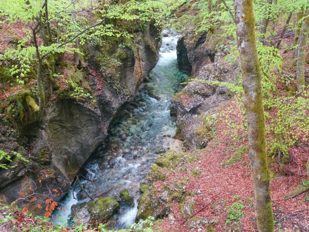 Mostinca gorge bohinj slovenia