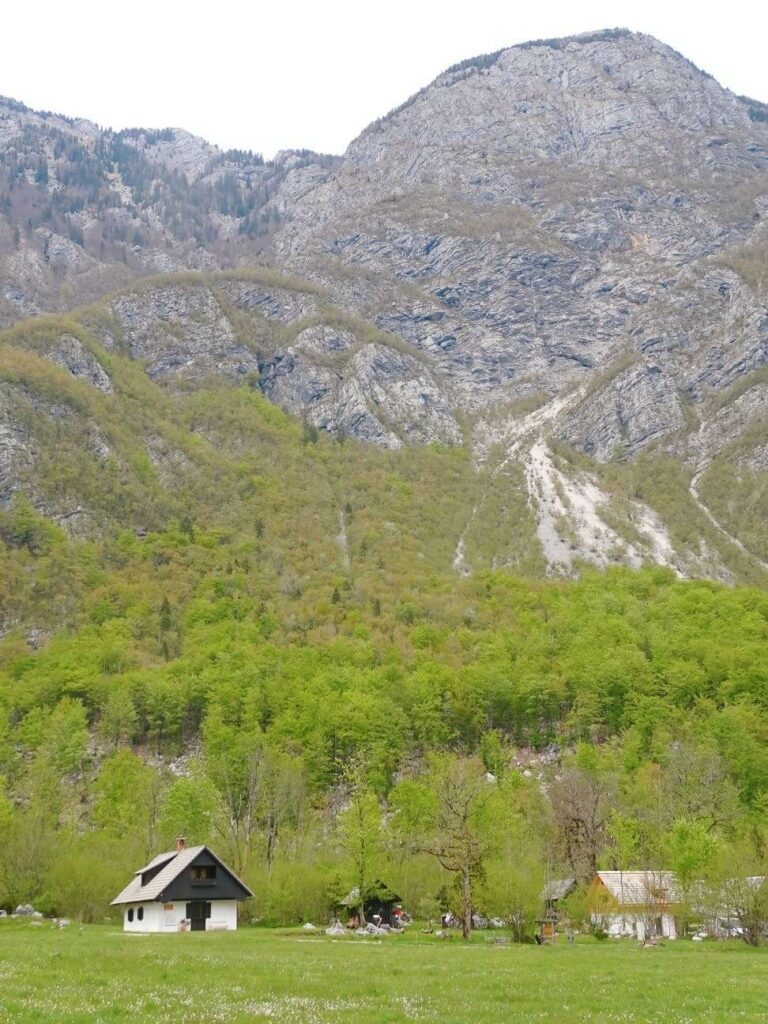 Scenery near lake bohinj 