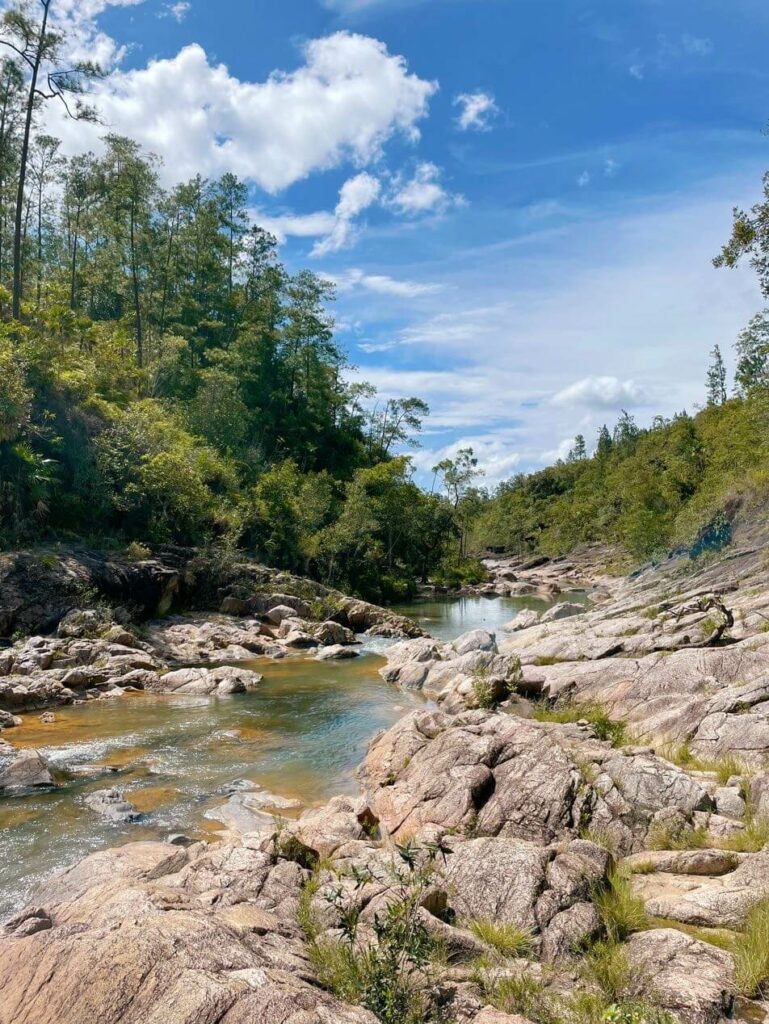 Pine ridge forest nat park 