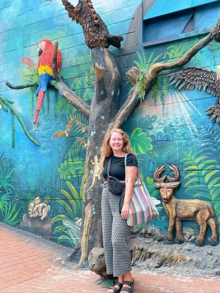 Colourful streets san juan