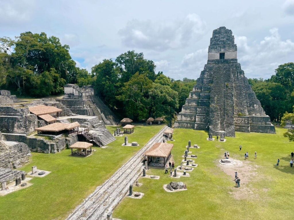 Tikal flores