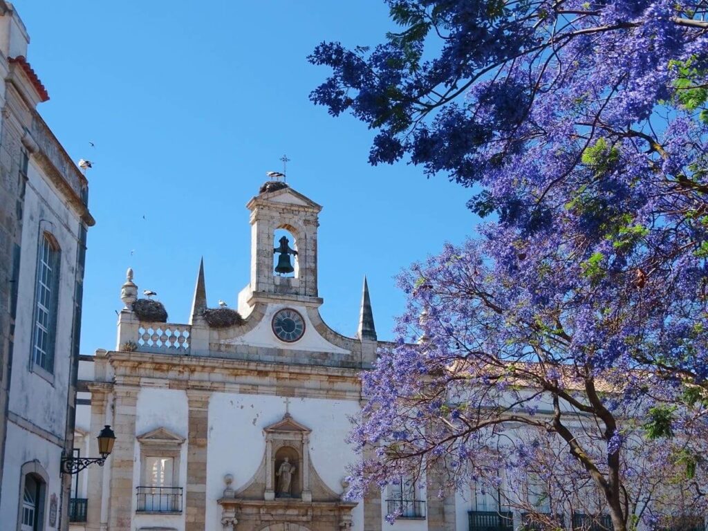 Faro where to travel solo portugal