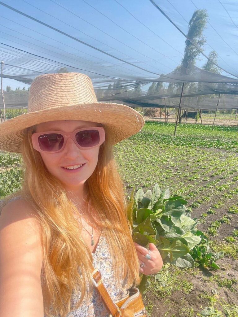 Eco garden chinampa cdmx