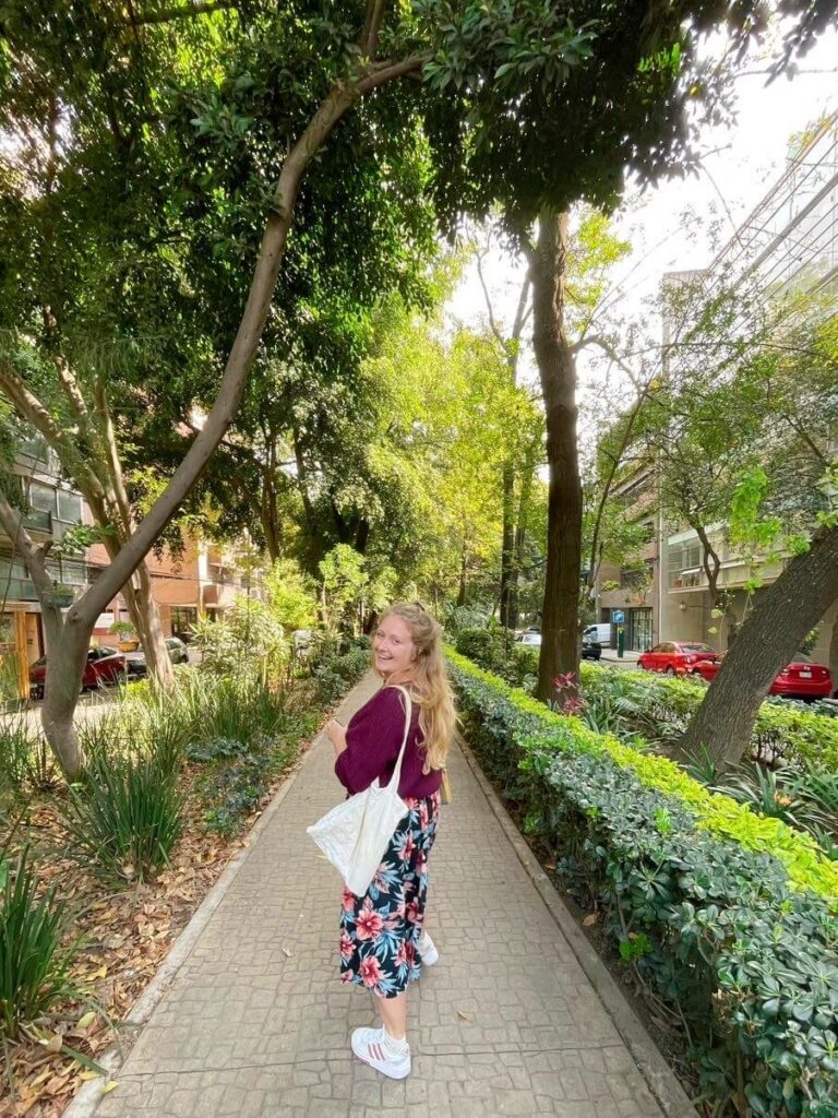 Condesa travelling alone to mexico city