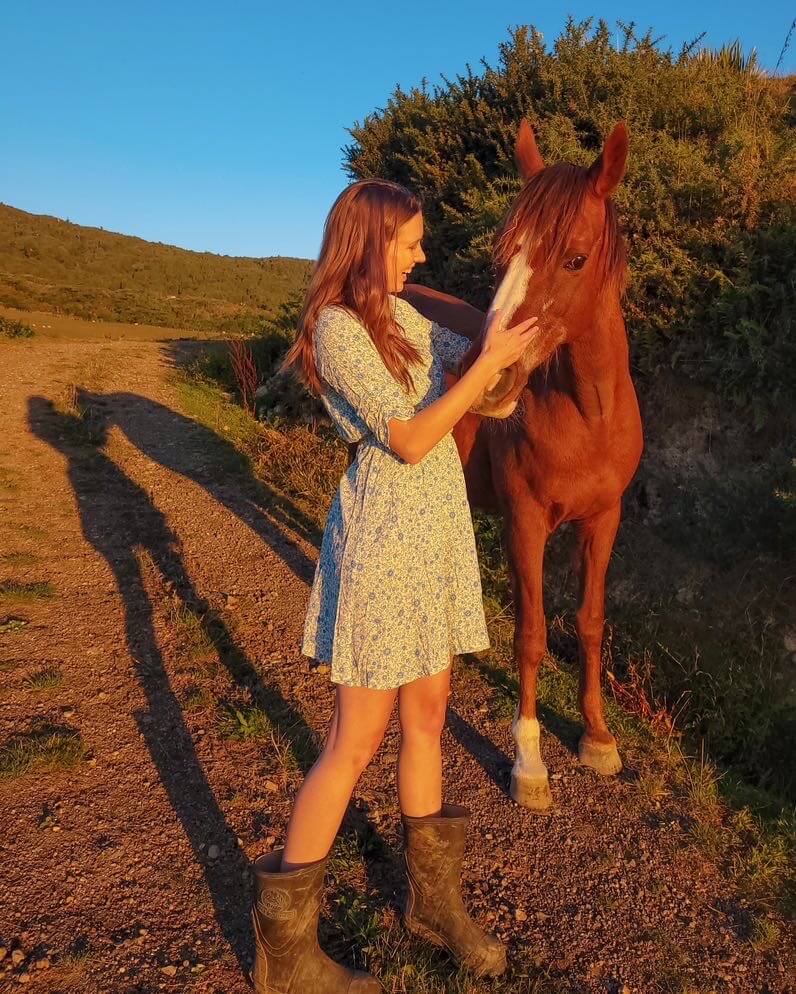 Volunteering on an animal sanctuary