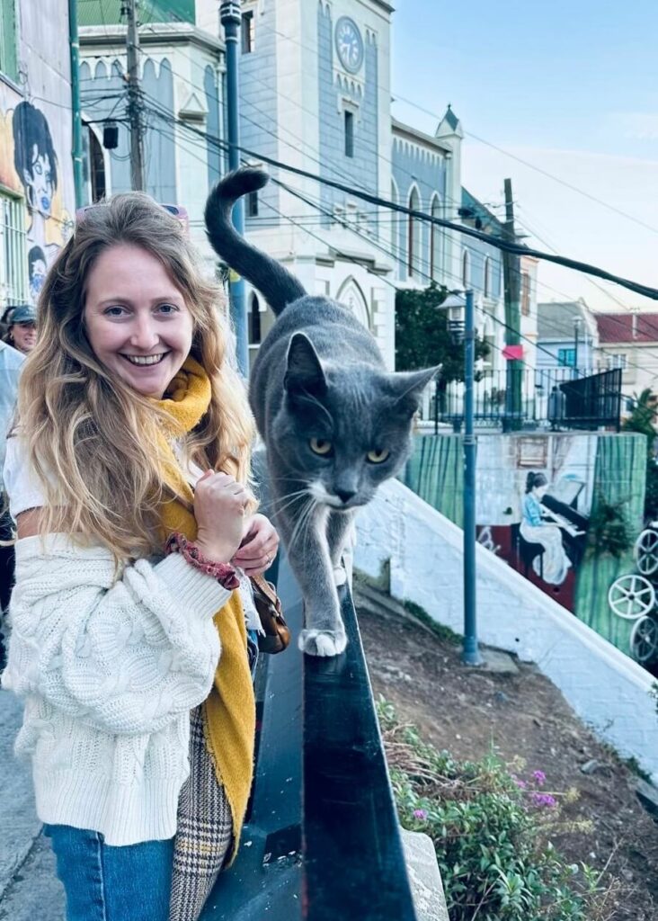 Cat solo travelling chile
