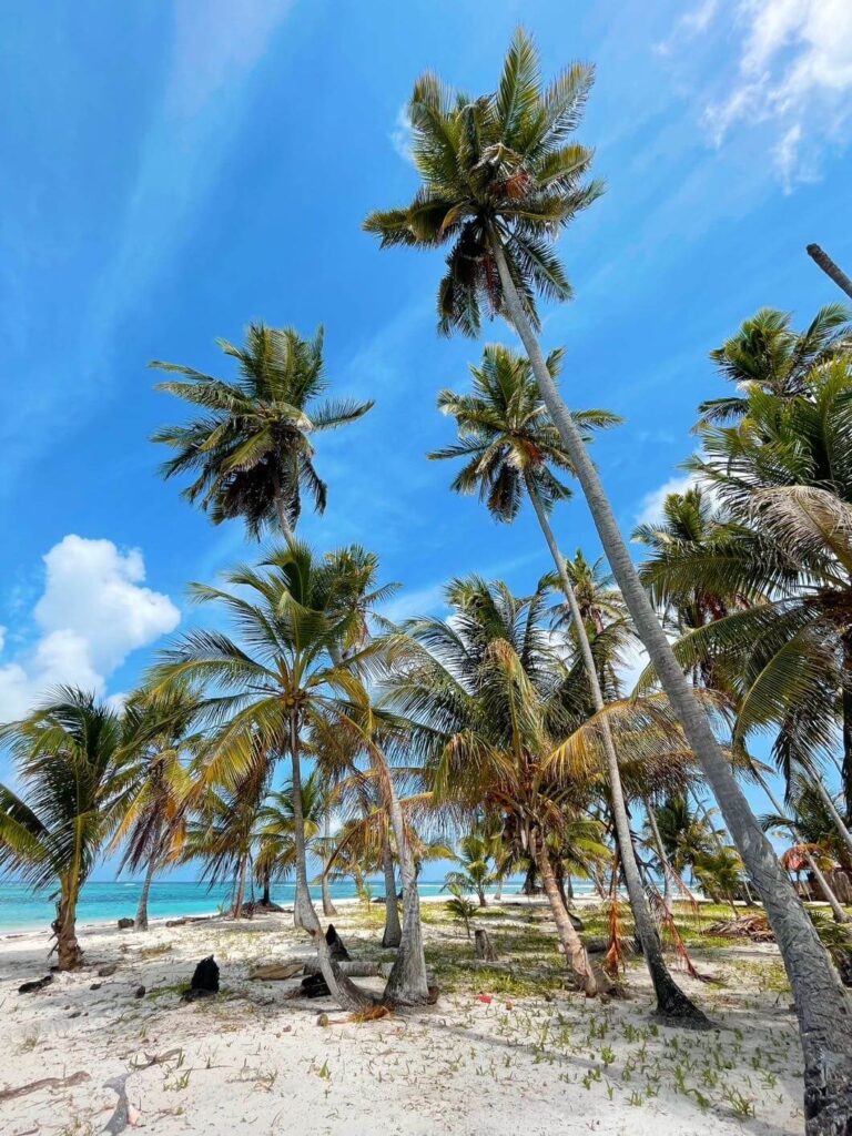 Island life san blas