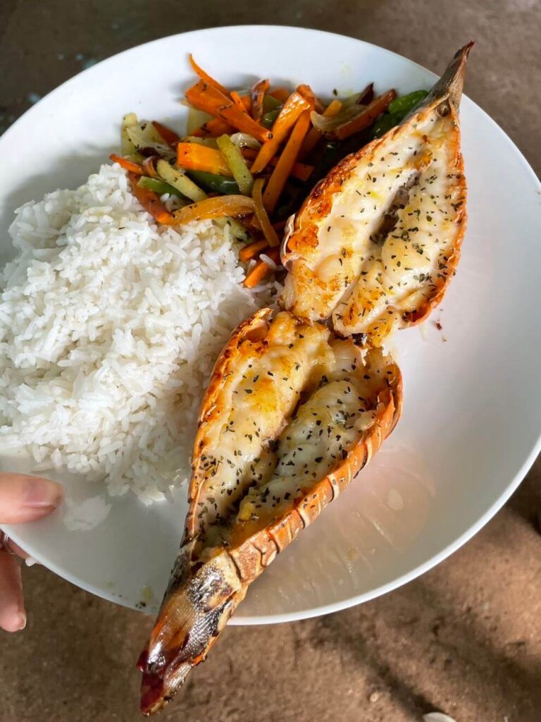 Lobster solo lunch corn islands