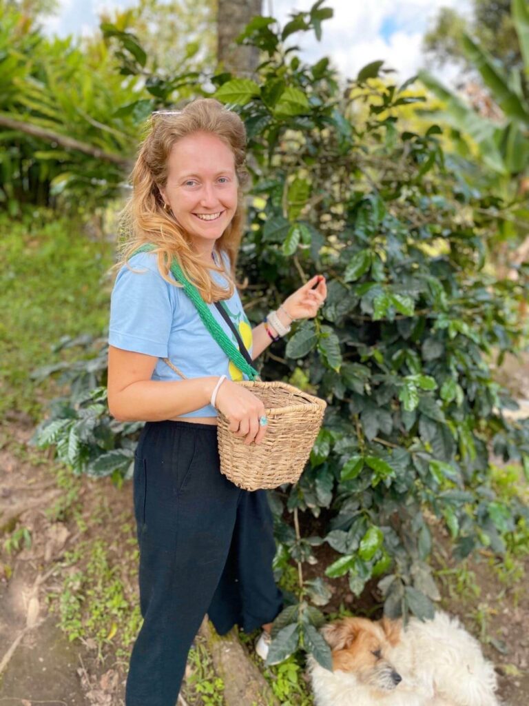 Coffee farm salento Colombia