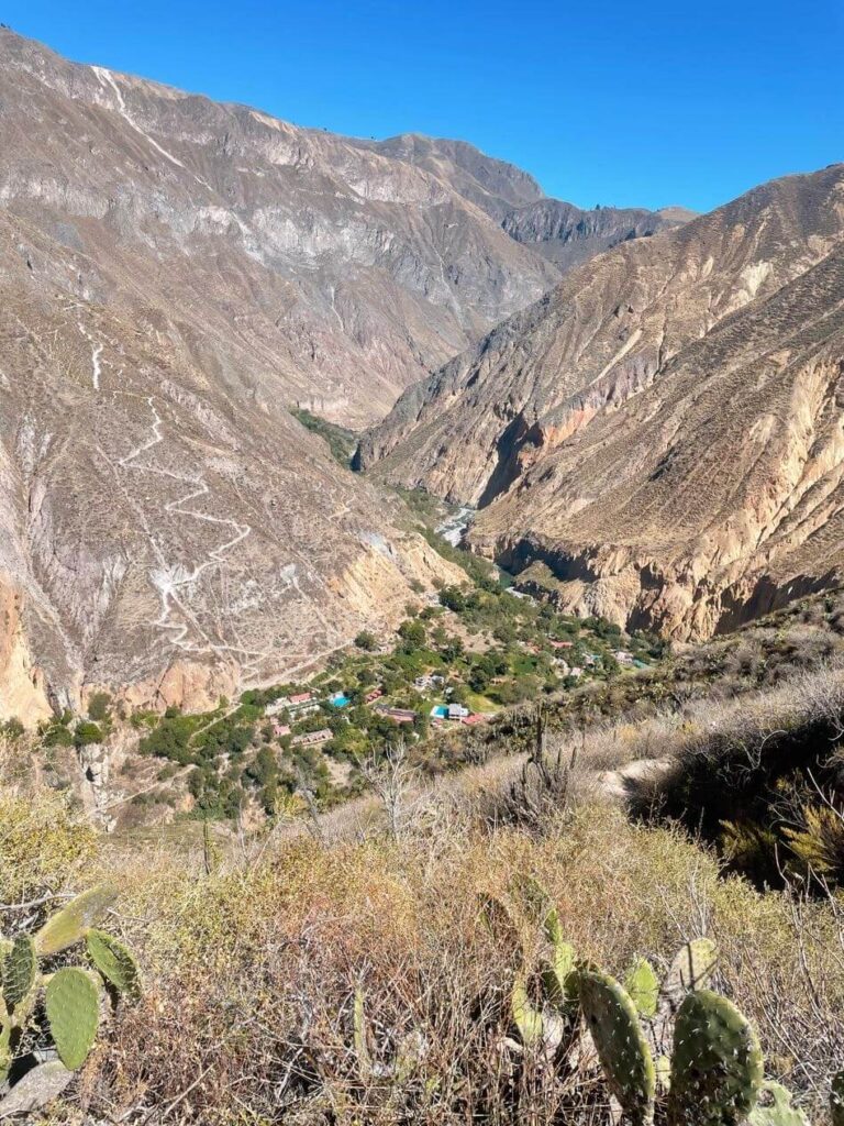 Colca canyon peru