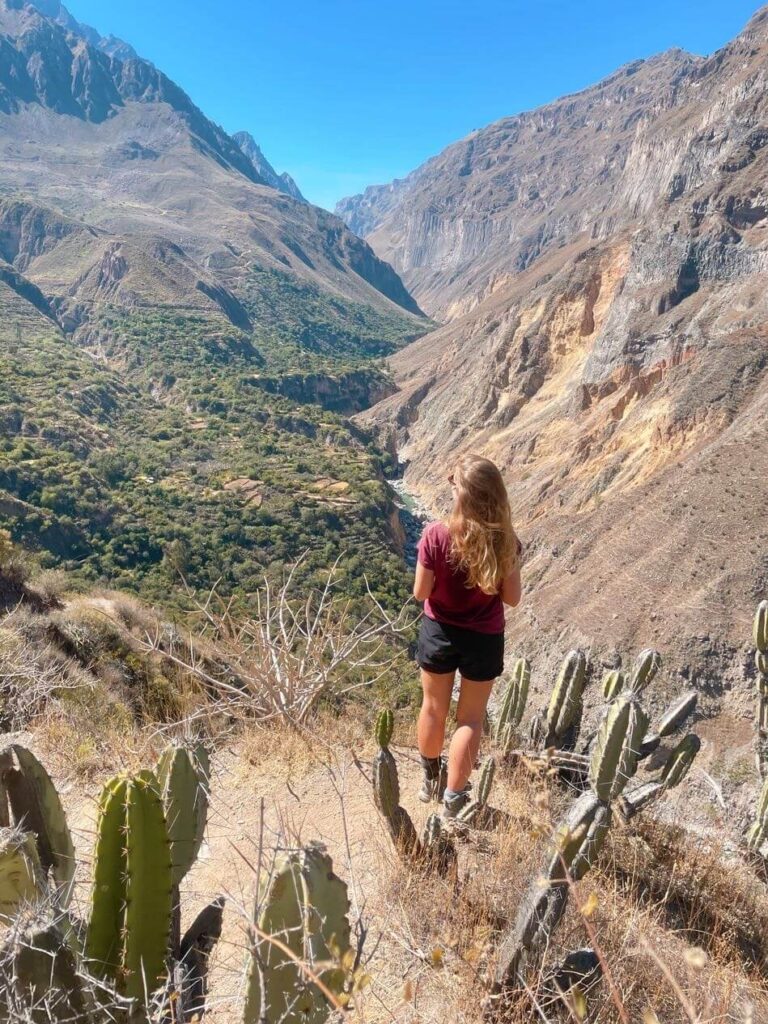 View on colca canyon hike